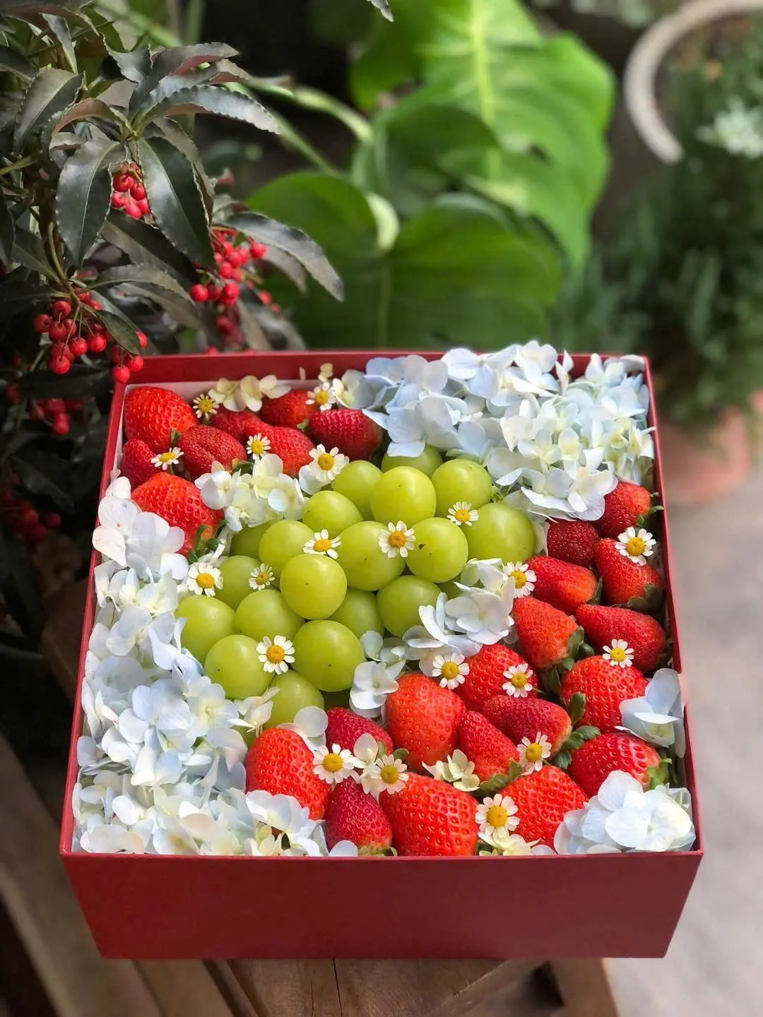Hộp Quà Trái Cây H-02 – Hiền Organic Huế