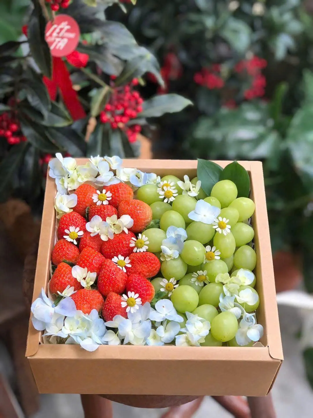 Hộp Quà Trái Cây H-08 – Hiền Organic Huế