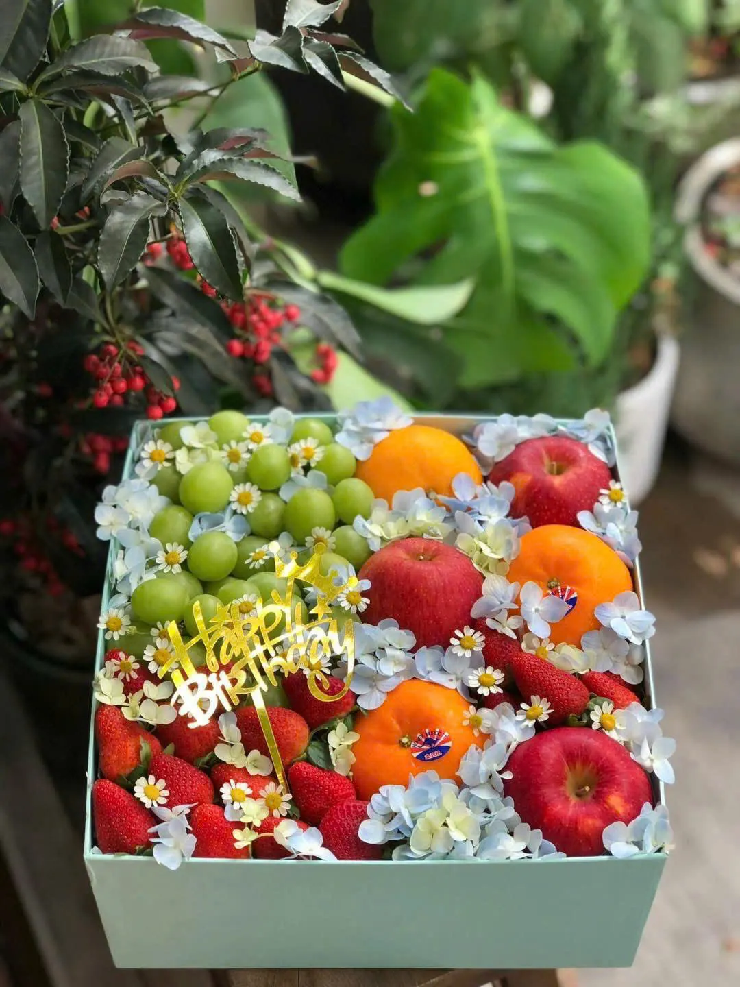 Hộp Quà Trái Cây H-10 – Hiền Organic Huế