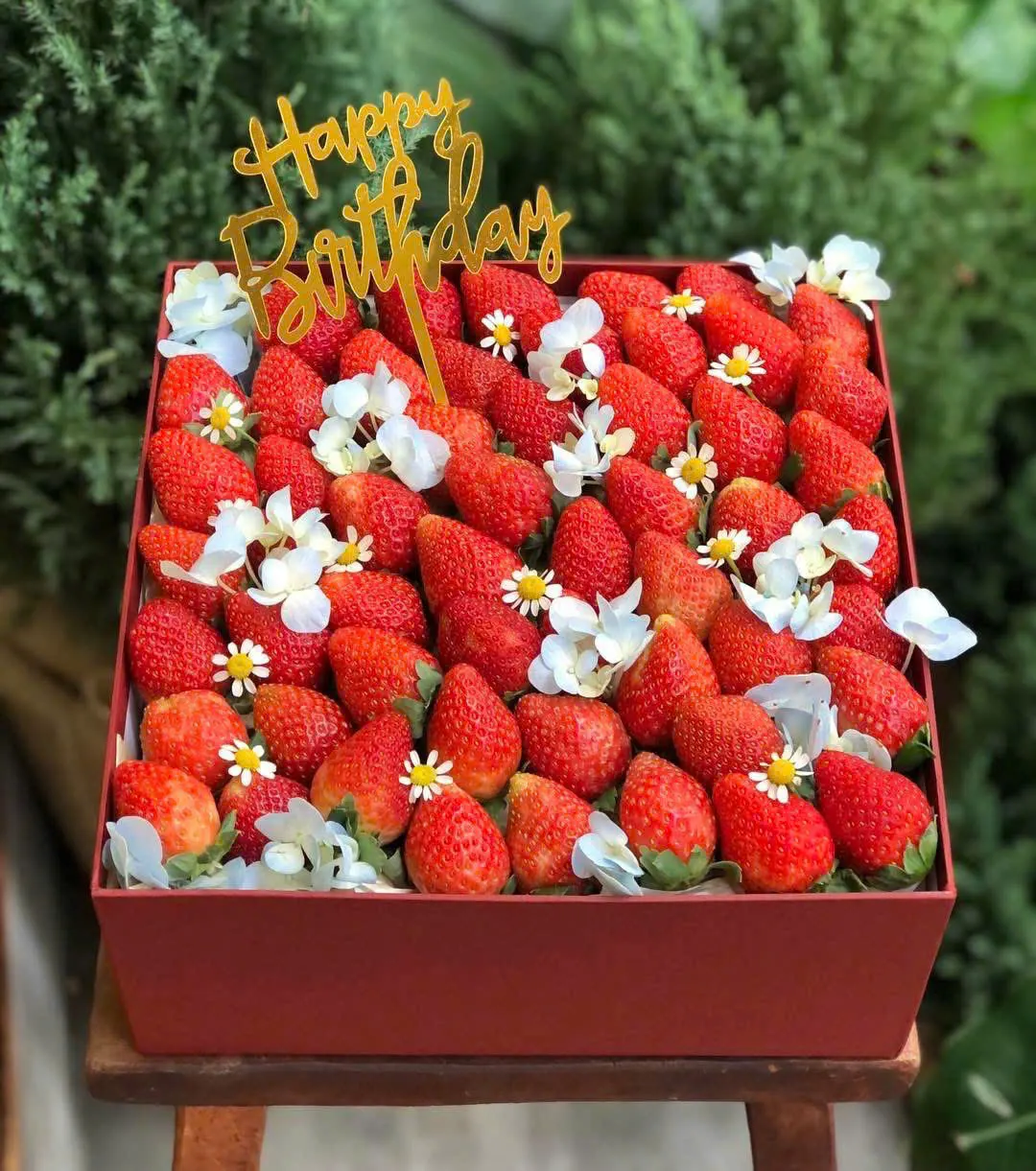 Hộp Quà Trái Cây H-11 – Hiền Organic Huế
