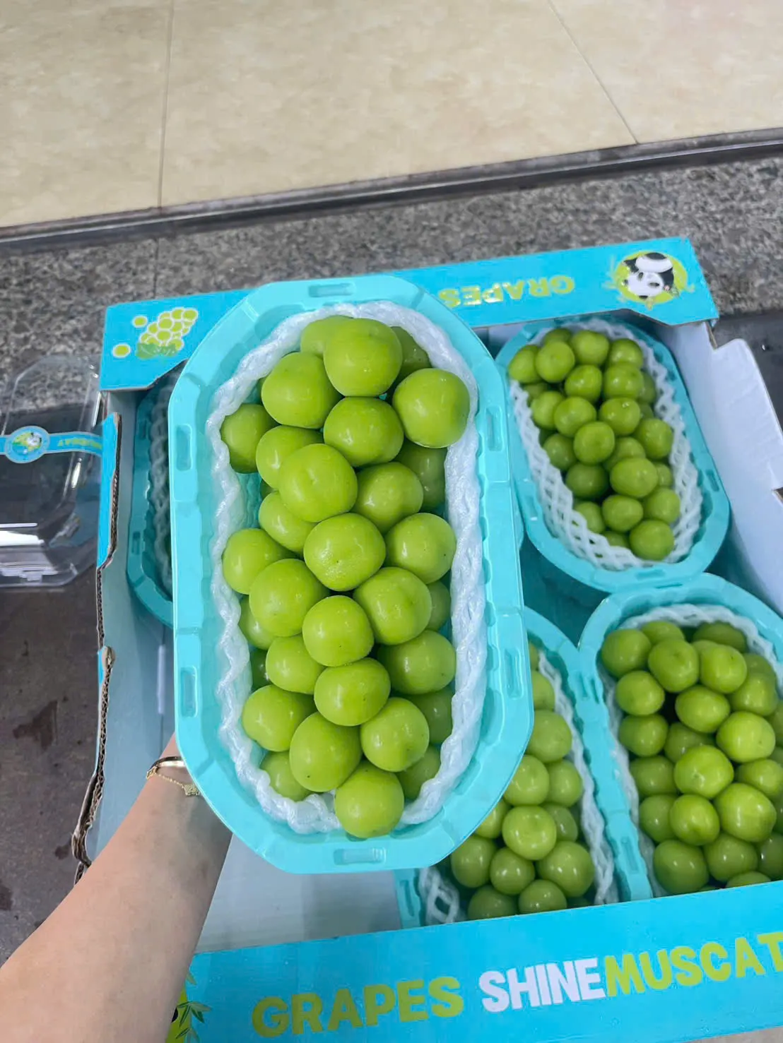 Nho sữa VIP ngon ngọt tại Huế – Hiền Organic