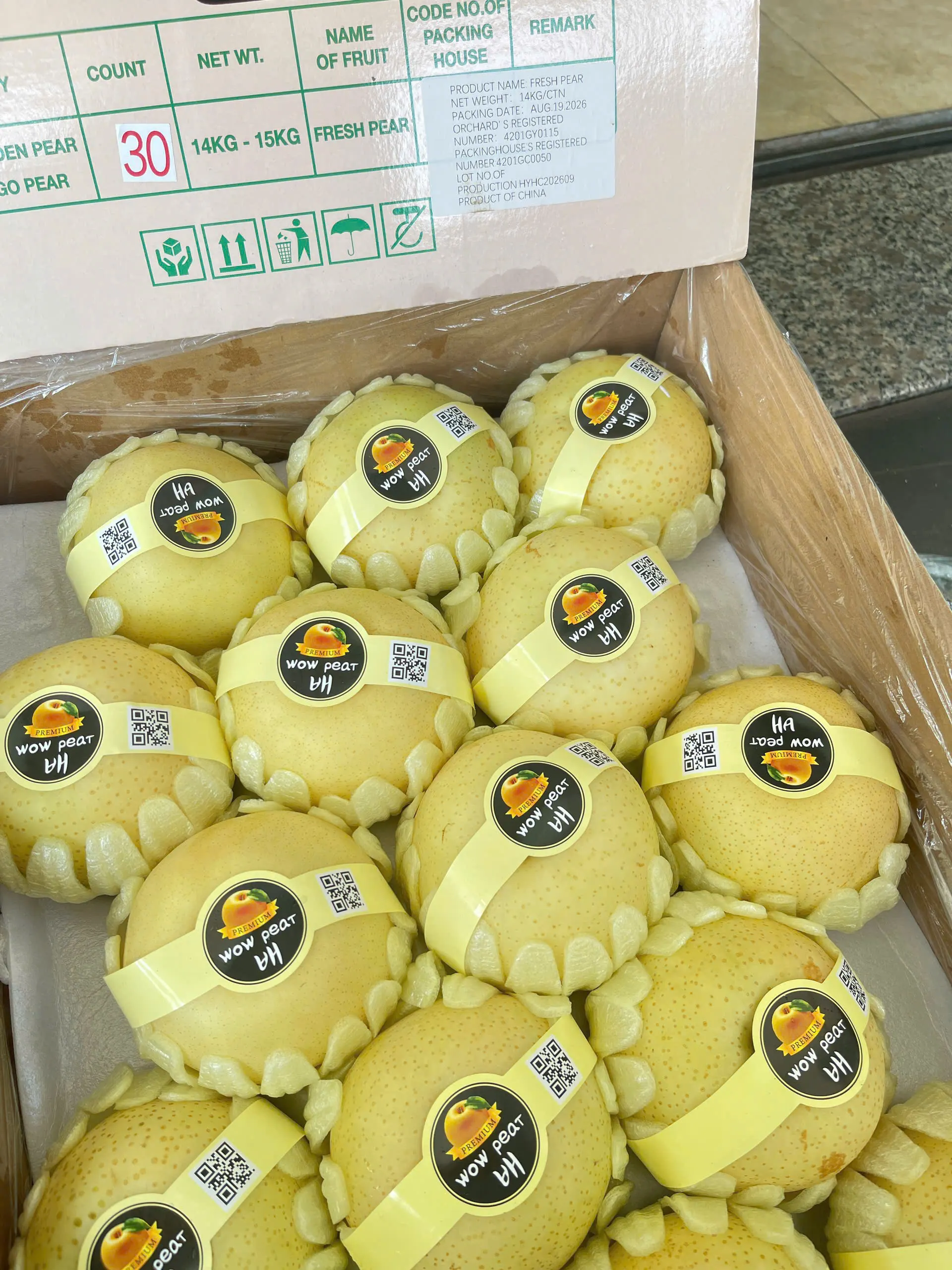Lê sữa thơm ngọt mọng nước tại Huế – Hiền Organic